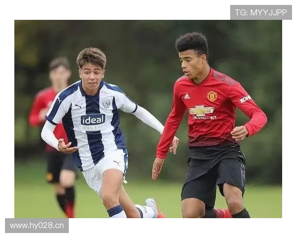 B费：从数据王到核心的荣誉与成长解析