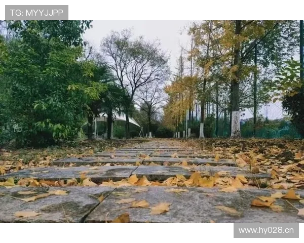 详细解析篮球比赛结束规则，终场信号响后得分如何判定有效